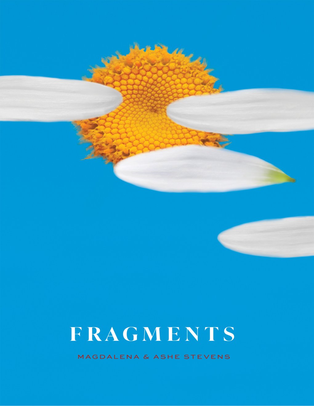 Cover of Fragments