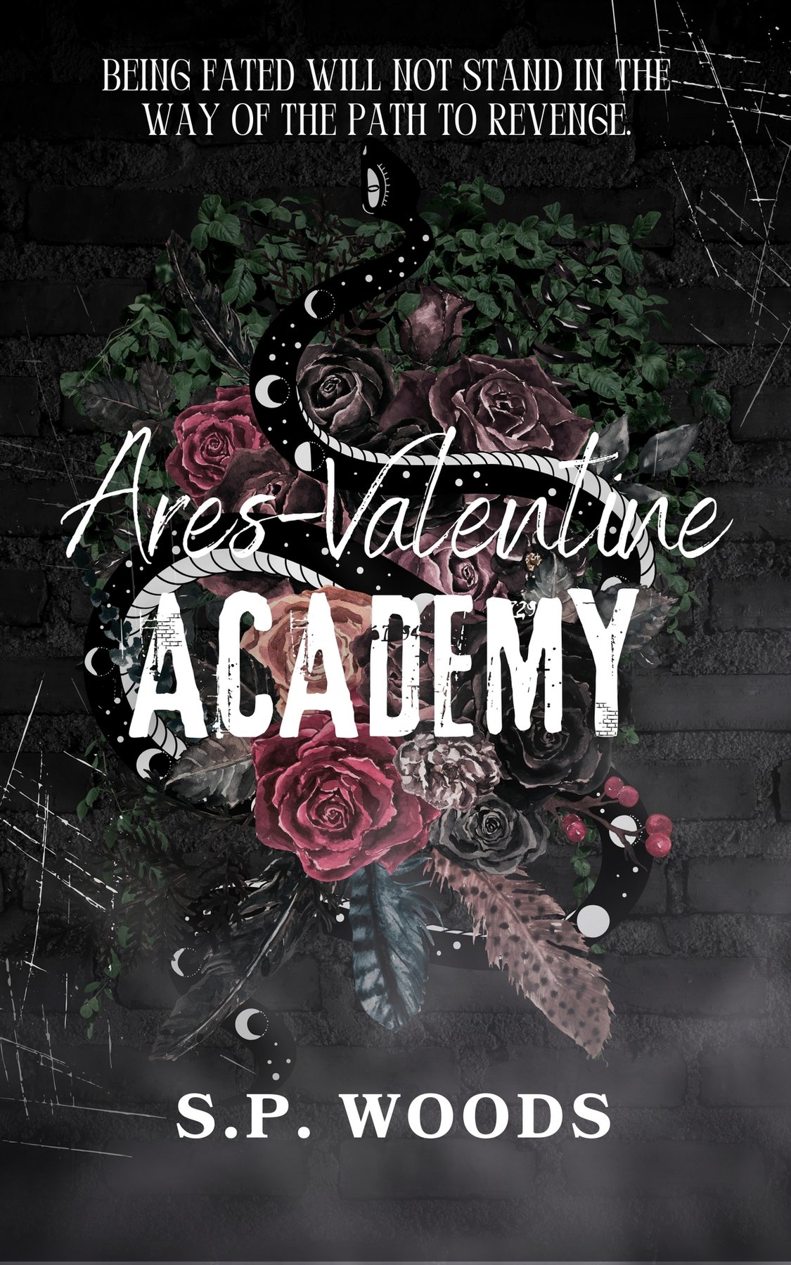 Cover of Ares-Valentine Academy (2024)