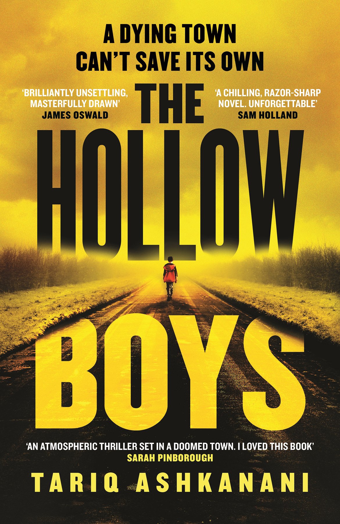 Cover of The Hollow Boys