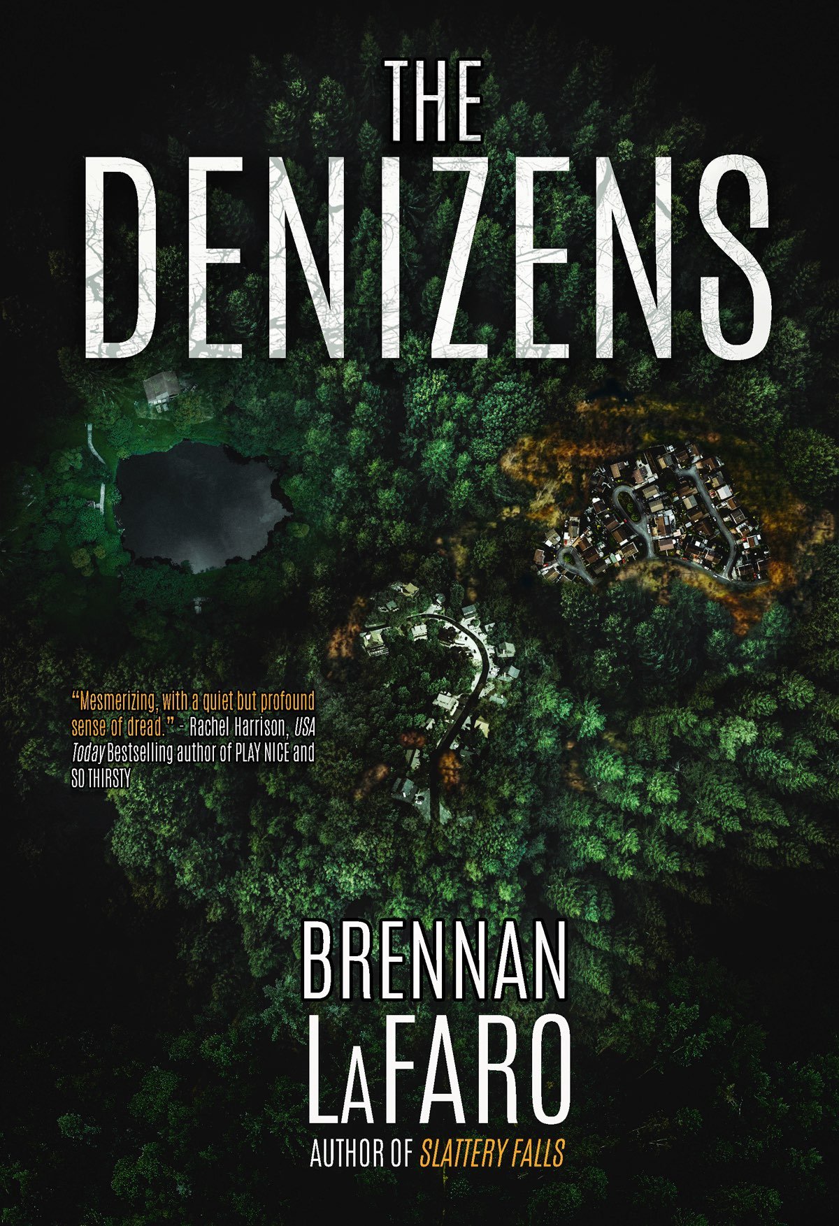 Cover of The Denizens