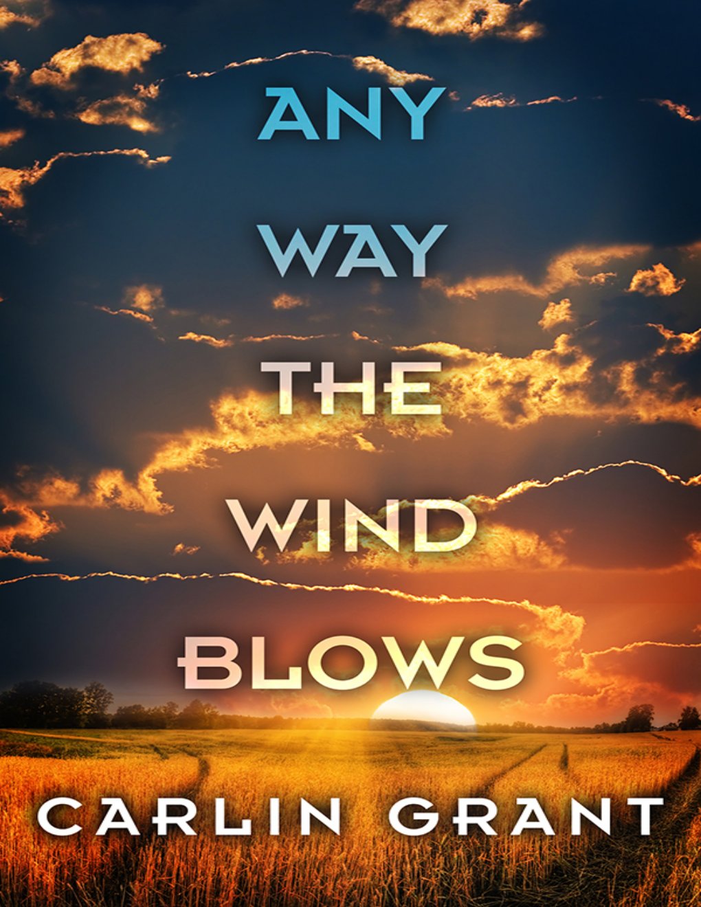 Cover of Any Way the Wind Blows
