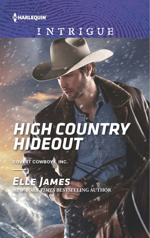 Cover of High Country Hideout (2015)