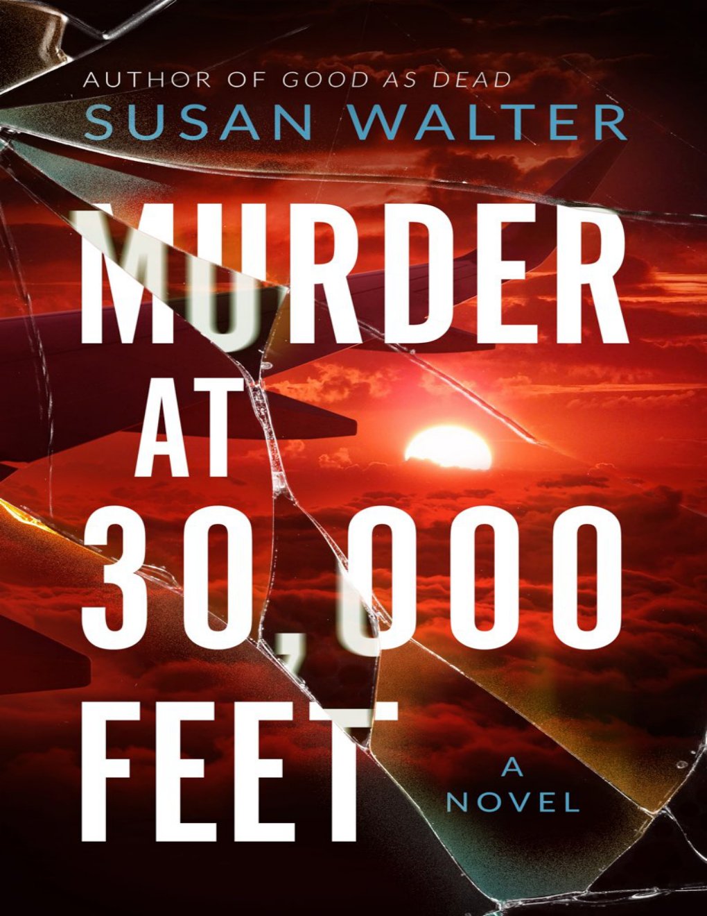 Cover of Murder at 30,000 Feet