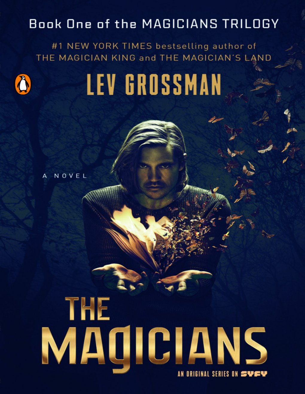 Cover of The Magicians