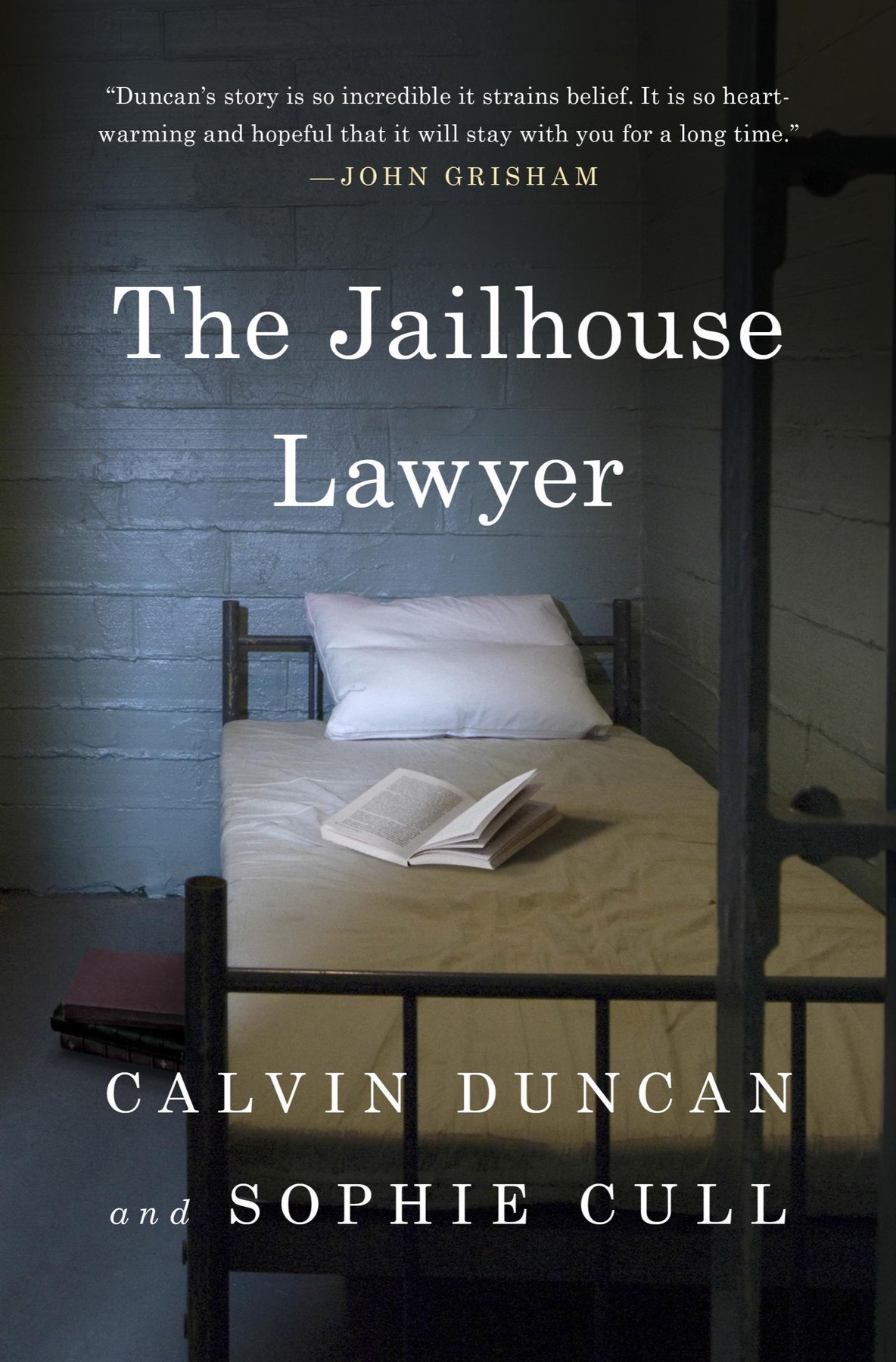 Cover of The Jailhouse Lawyer