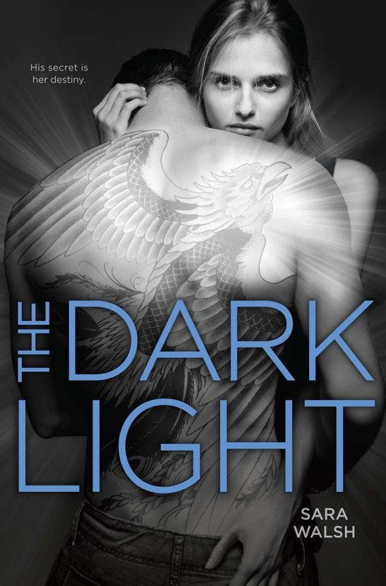 Cover of The Dark Light