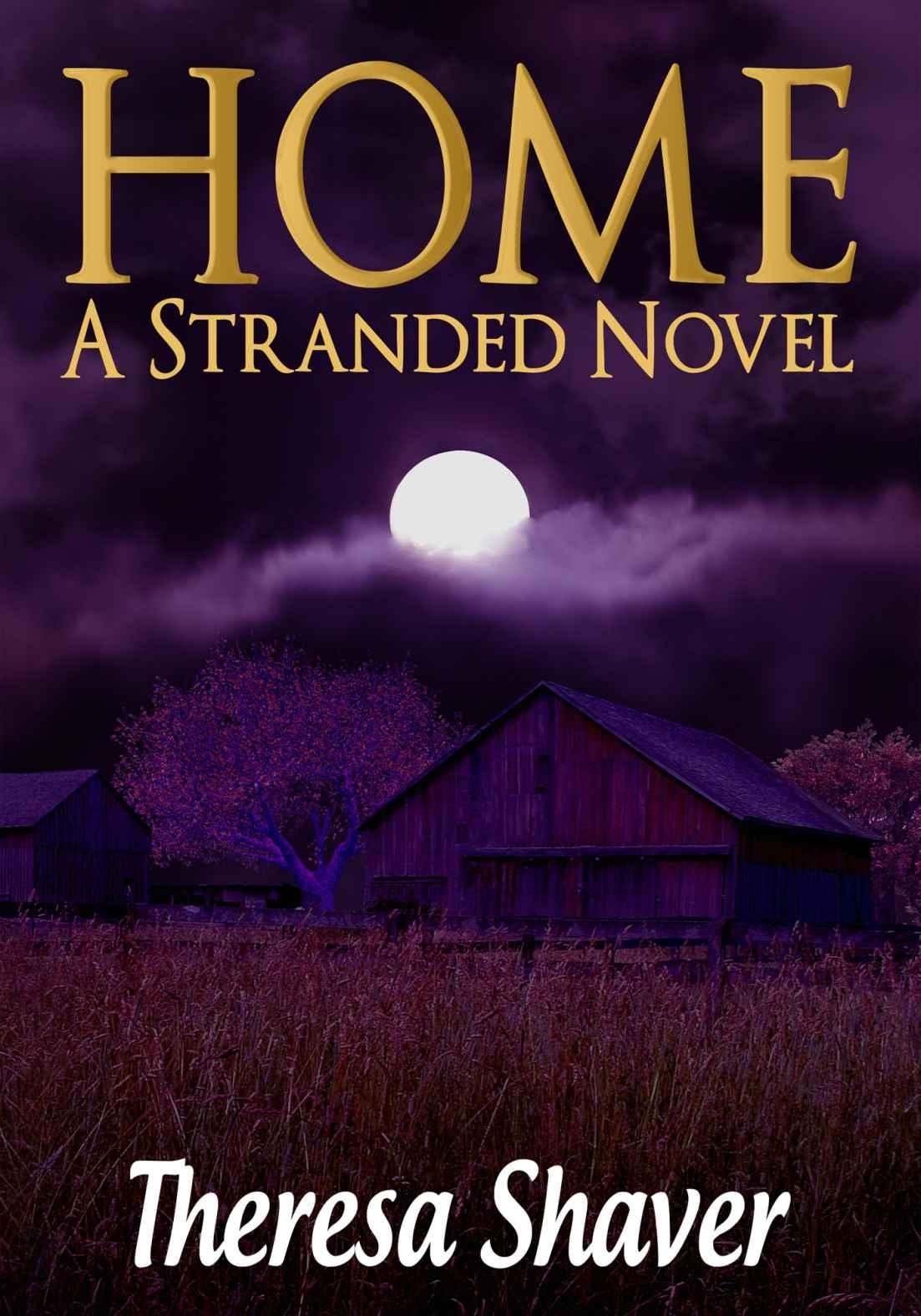 Cover of Home- A Stranded Novel (2013)