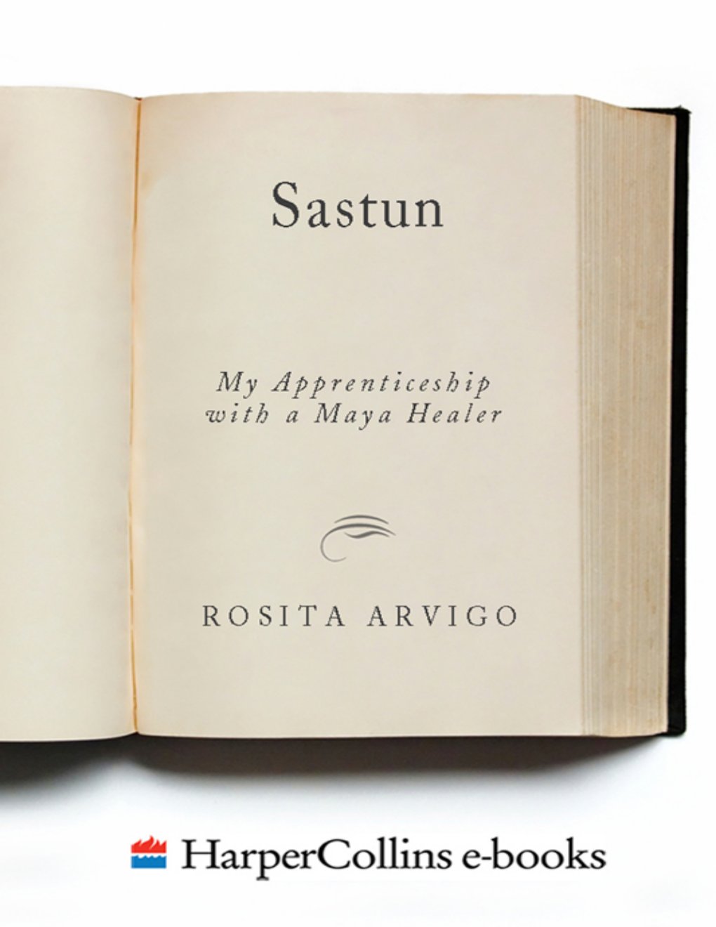 Cover of Sastun