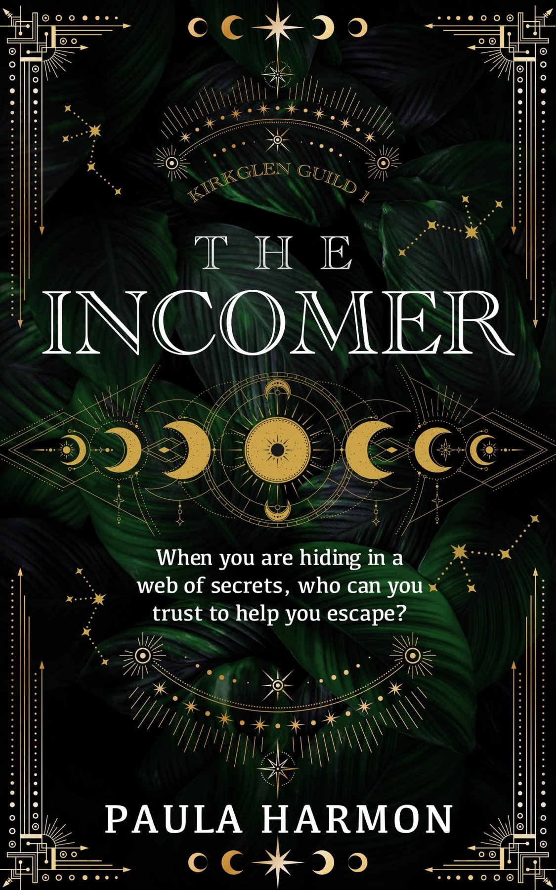 Cover of The Incomer (1988)
