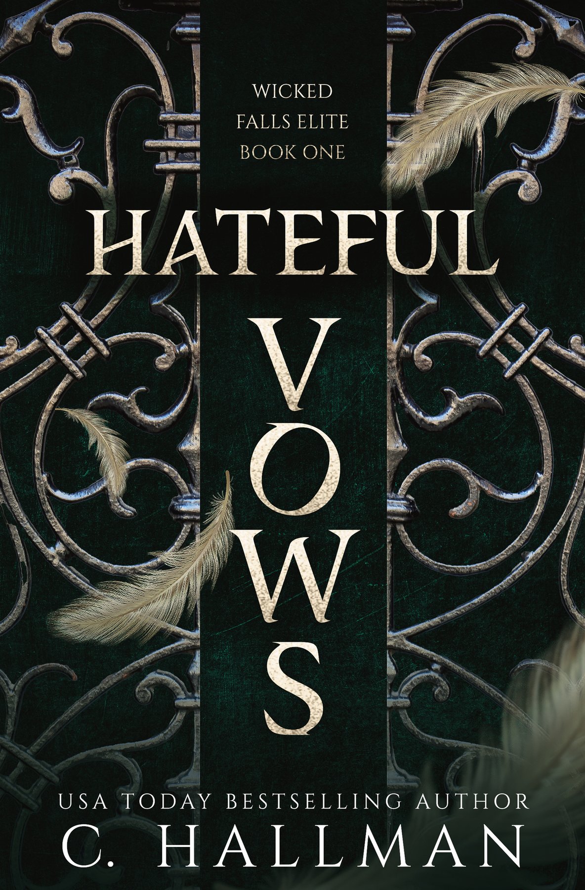 Cover of Hateful Vows: A Dark Bully Romance