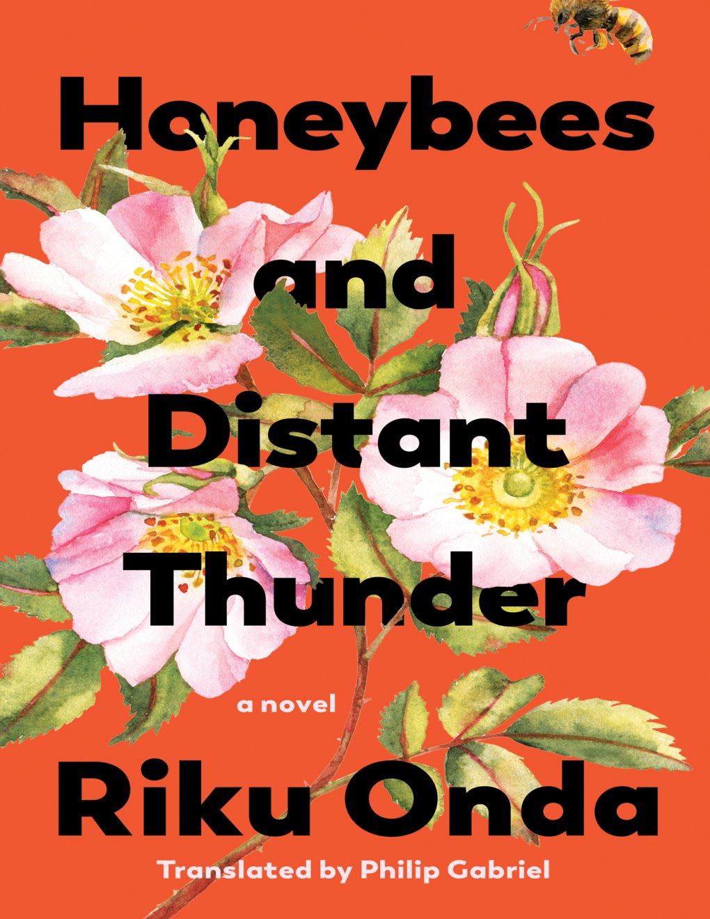 Cover of Honeybees and Distant Thunder: A Novel