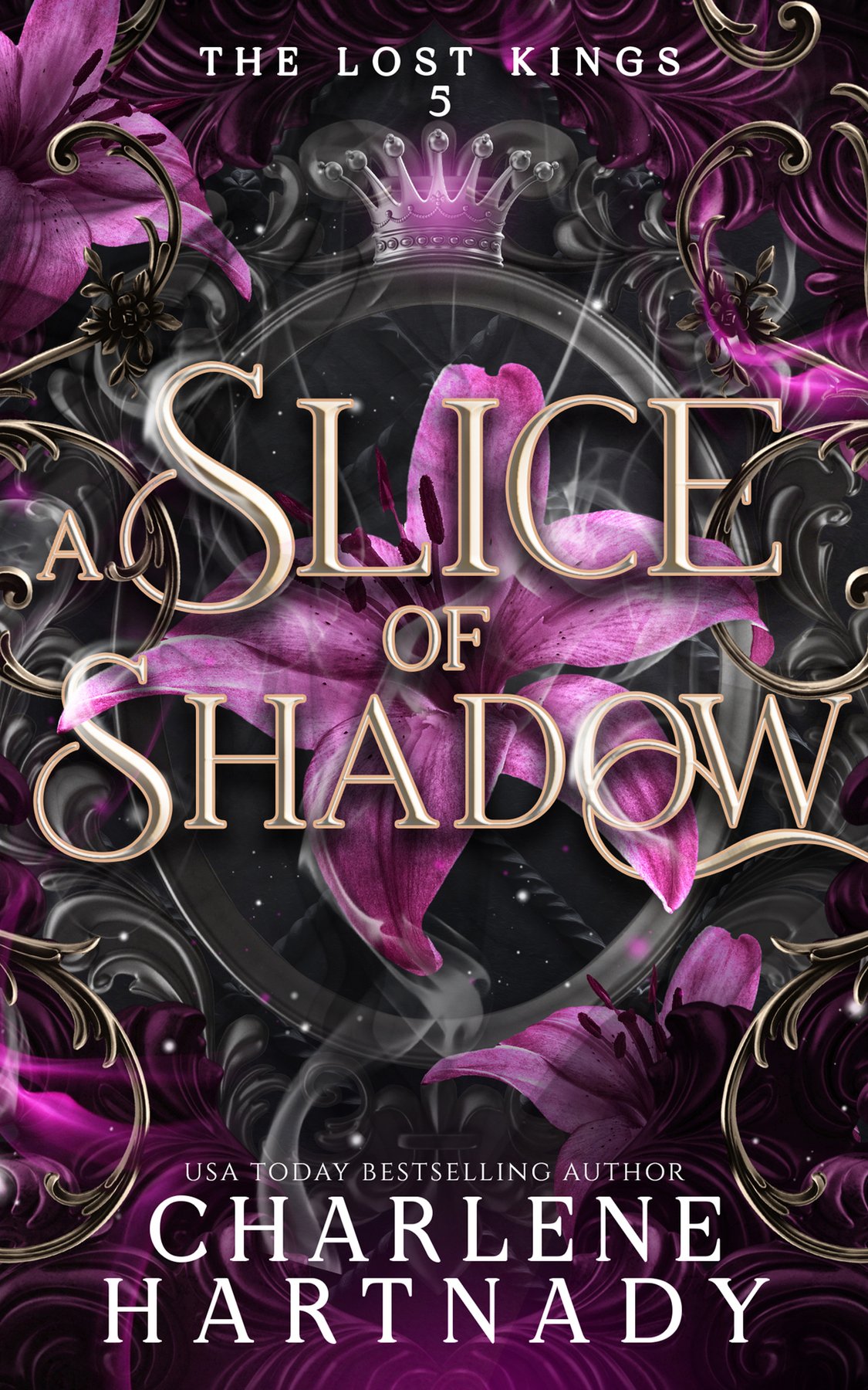 Cover of A Slice of Shadow (2026)