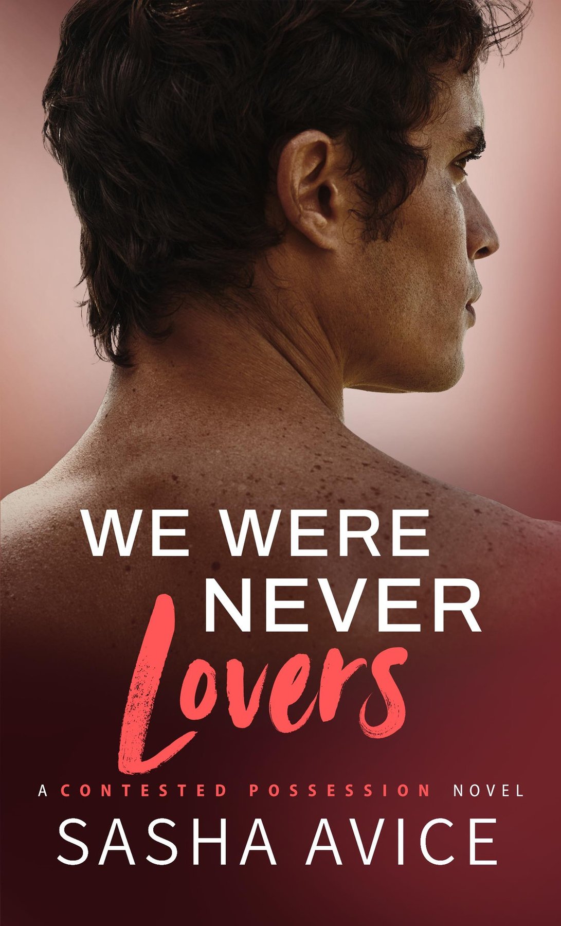 Cover of We Were Never Lovers (Contested Possession)