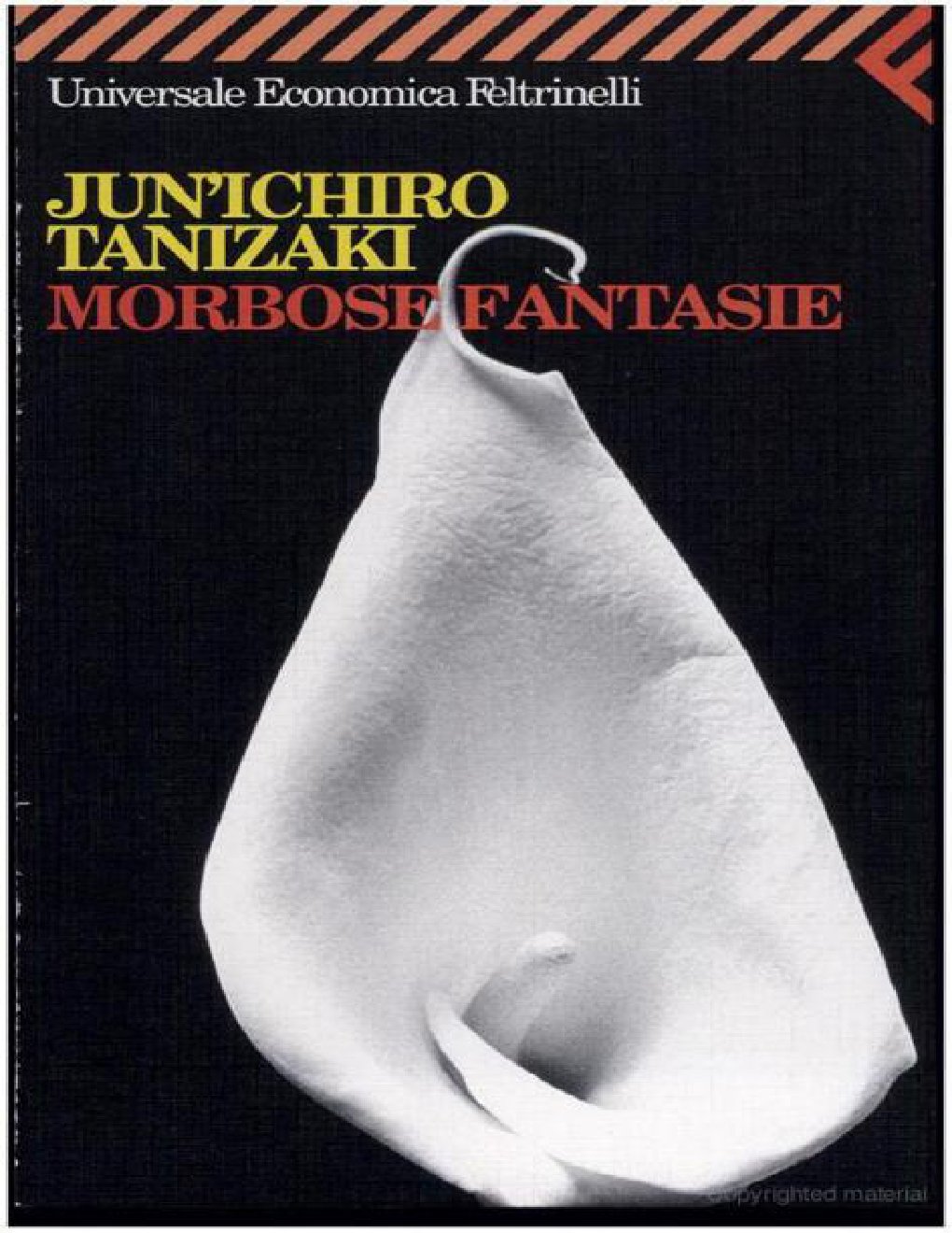 Cover of Morbose fantasie
