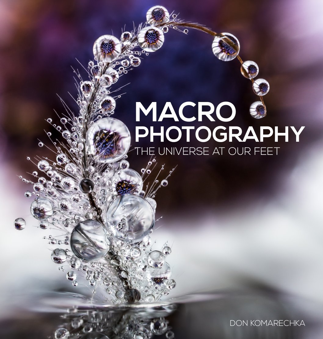 Cover of Macro Photography: The Universe at Our Feet (eBook)