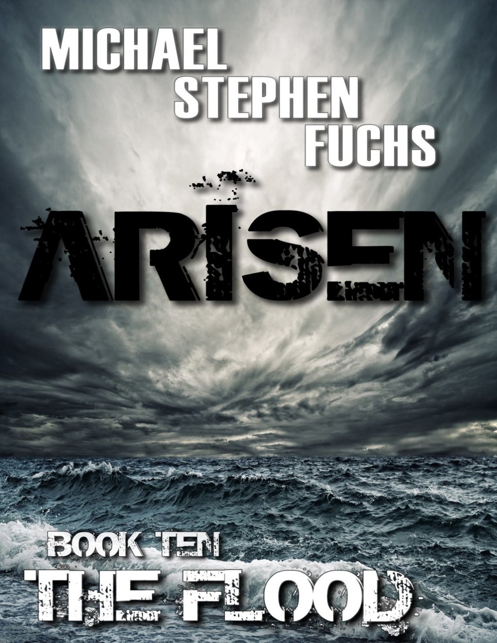 Cover of The Flood