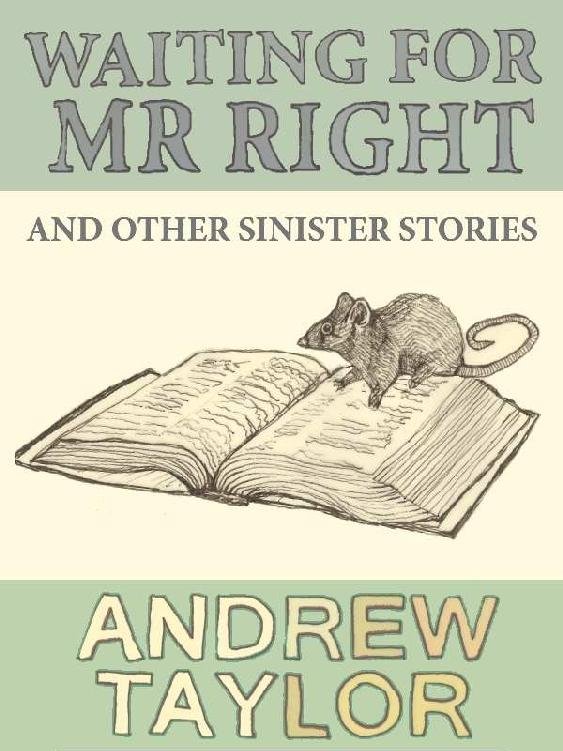 Cover of Waiting For Mr Right (1863)