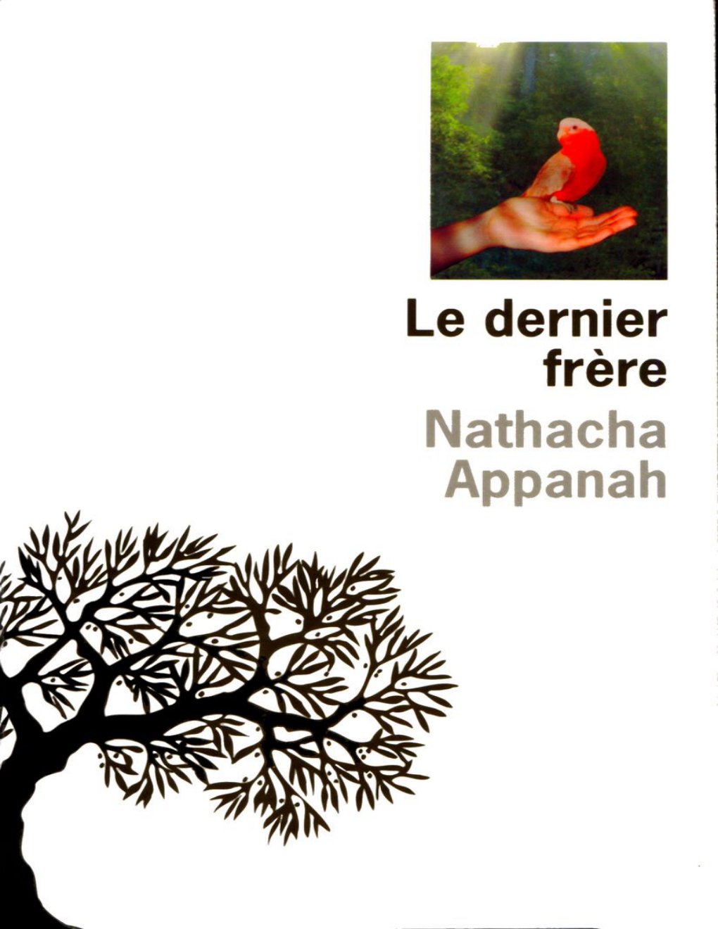 Cover of Le dernier frère