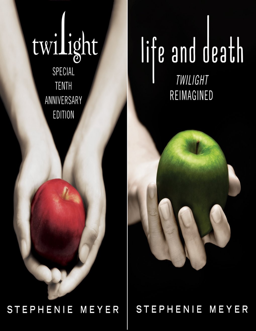 Cover of Twilight Tenth Anniversary Edition