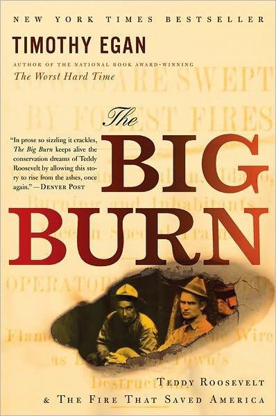 Cover of The Big Burn: Teddy Roosevelt and the Fire That Saved America