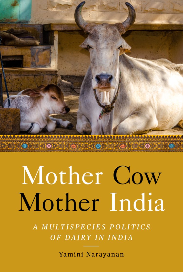 Cover of Mother Cow, Mother India