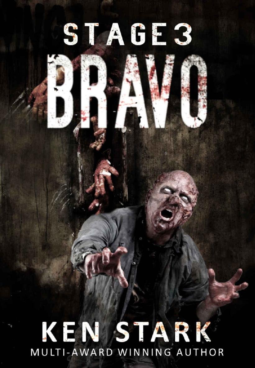 Cover of Stage 3 (Book 3): Bravo