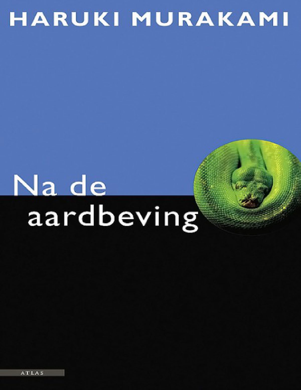 Cover of Na de aardbeving (1990)