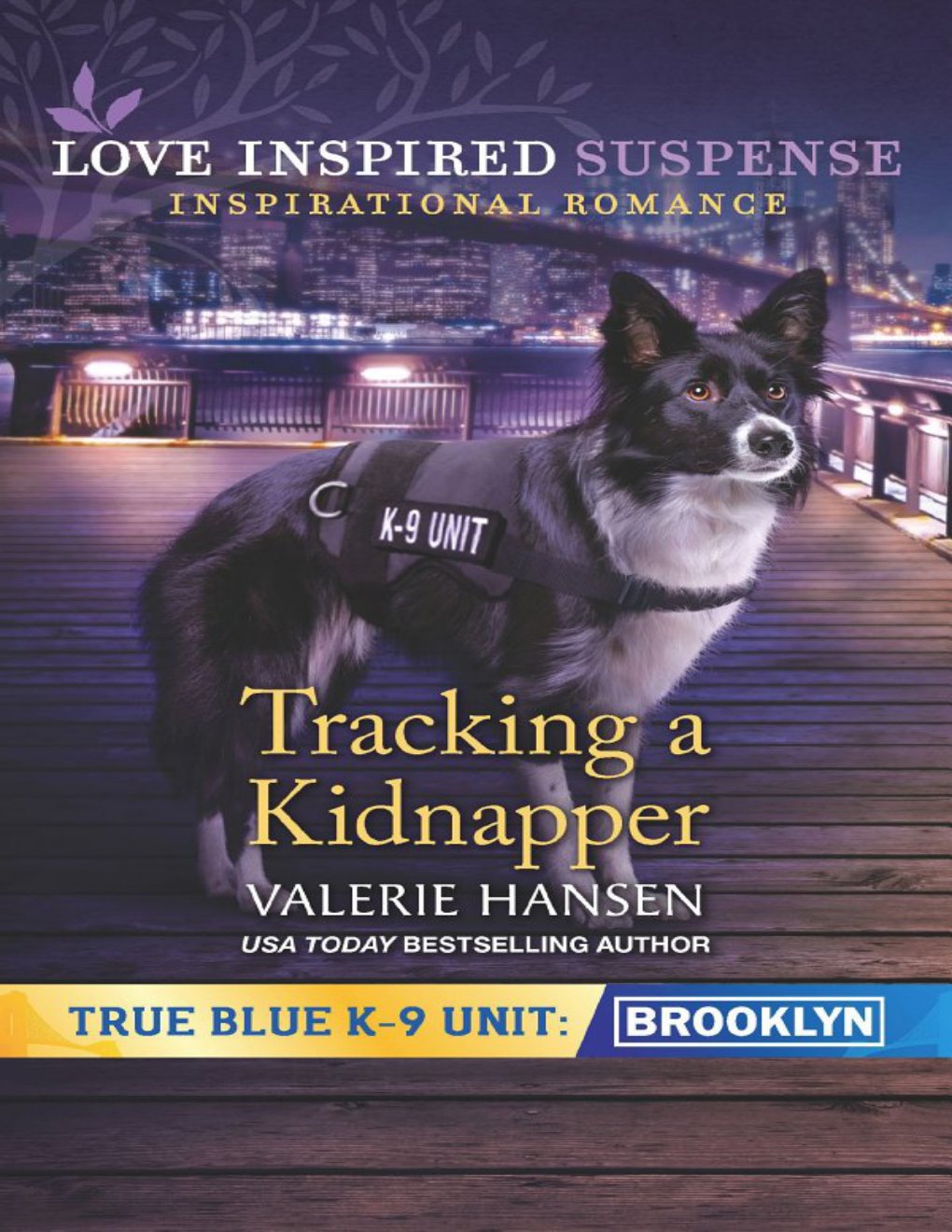 Cover of Tracking a Kidnapper