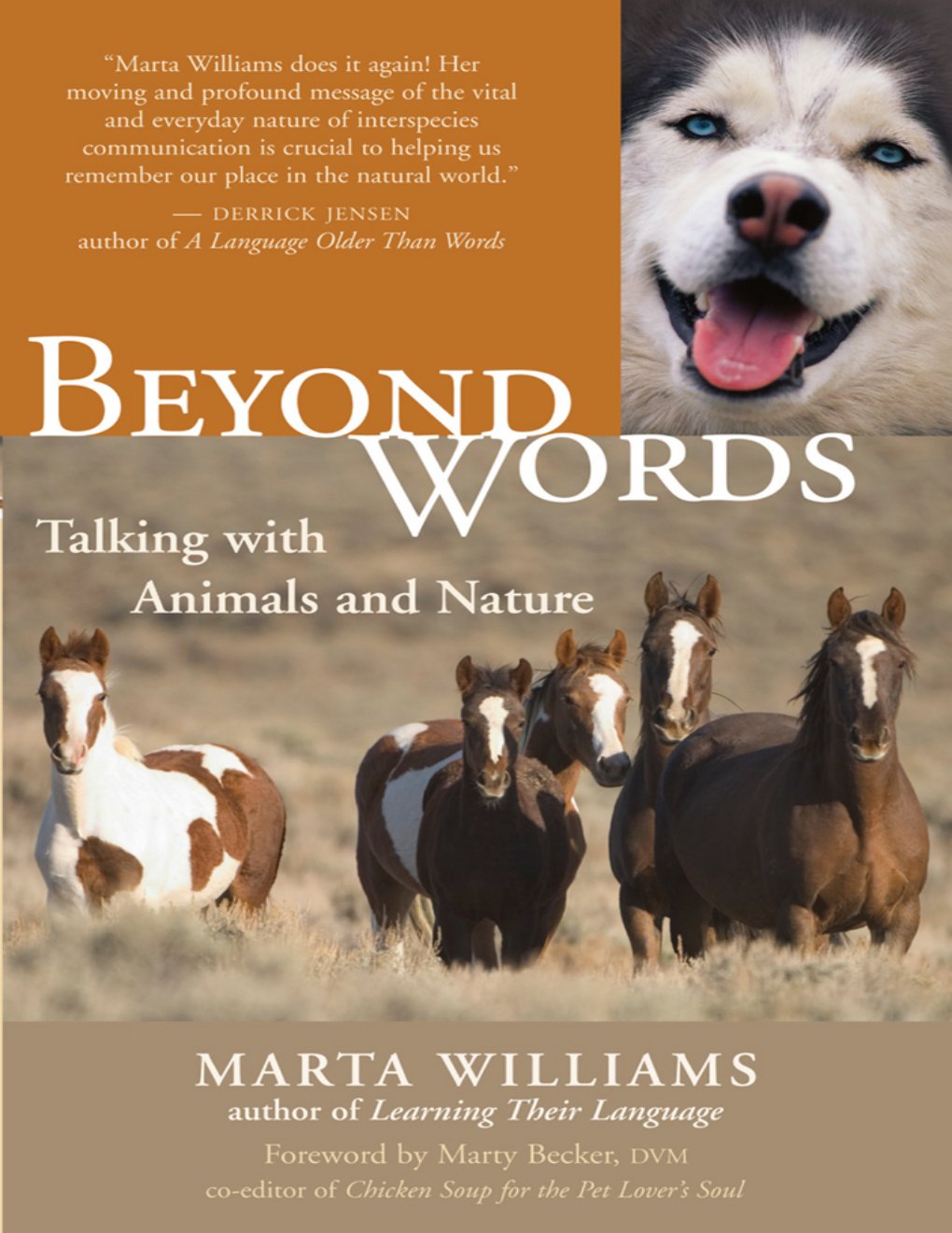 Cover of Beyond Words