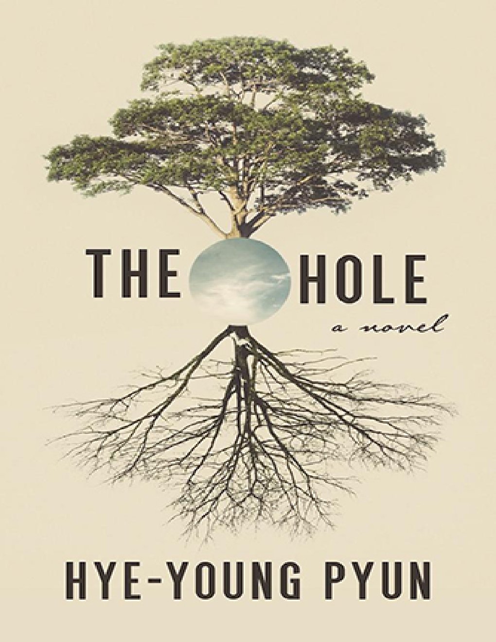 Cover of The Hole