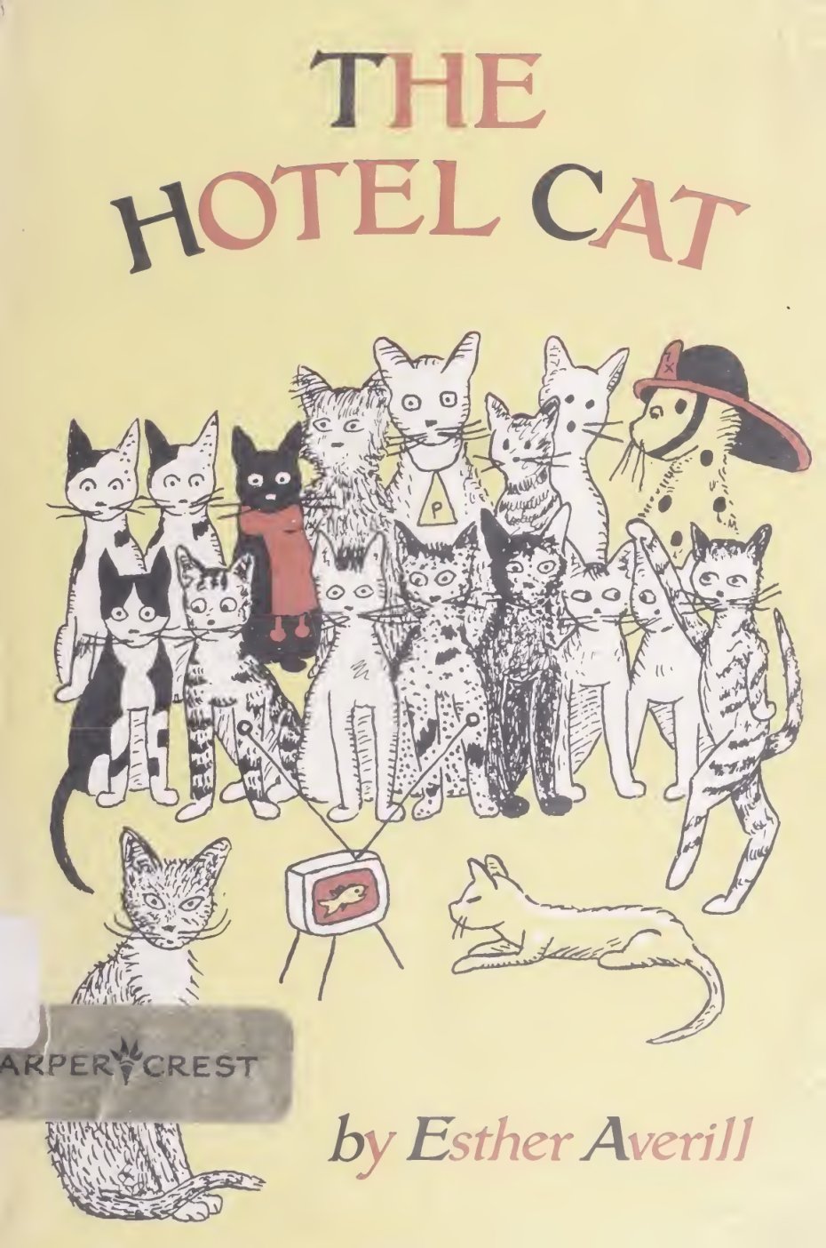 Cover of The hotel cat