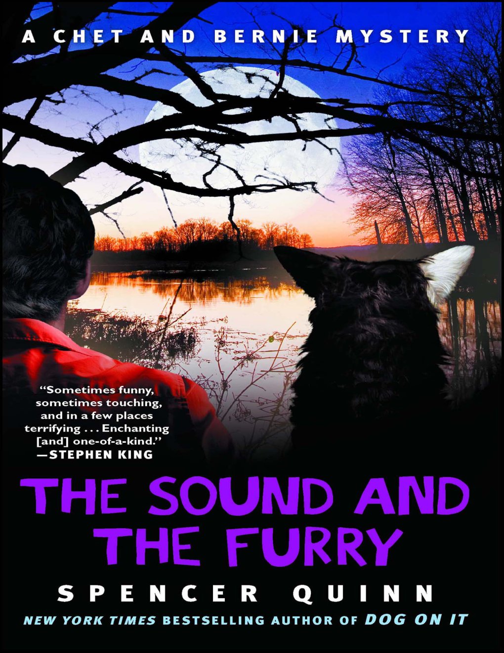 Cover of The Sound and the Furry