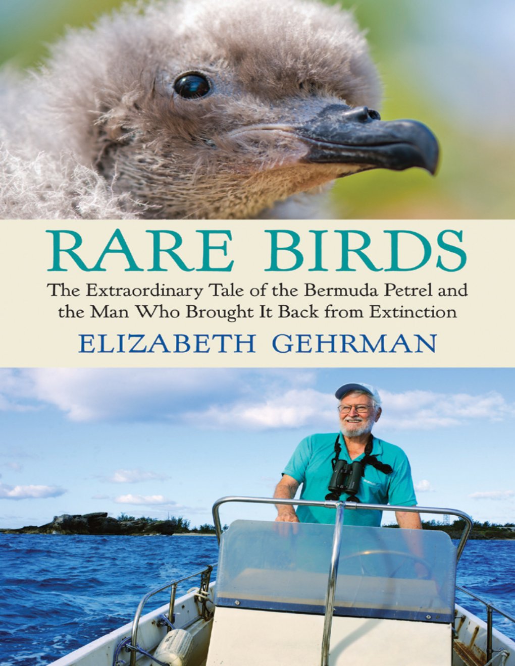 Cover of Rare Birds