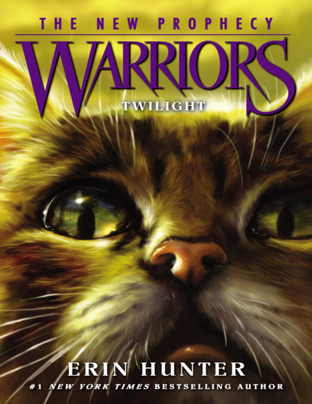 Cover of Twilight (2000)
