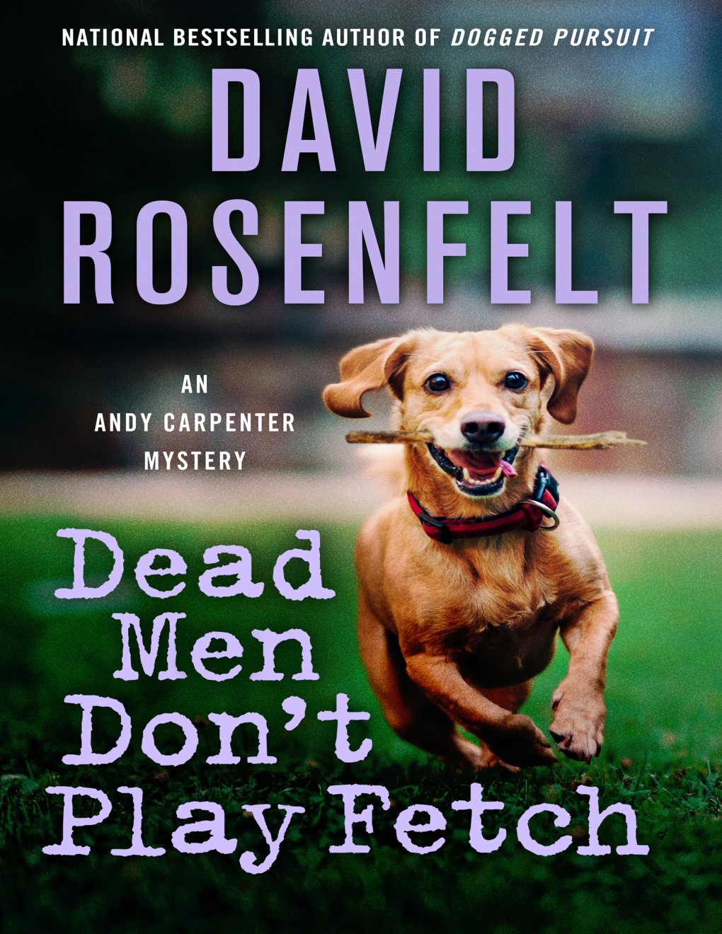 Cover of Dead Men Don't Play Fetch