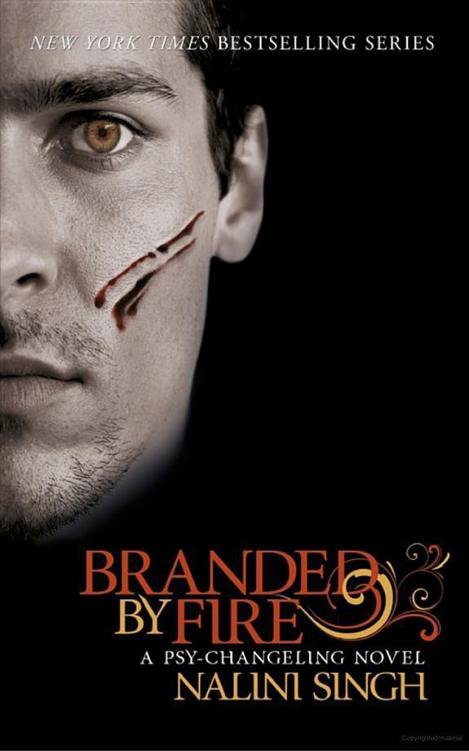 Cover of Branded by Fire