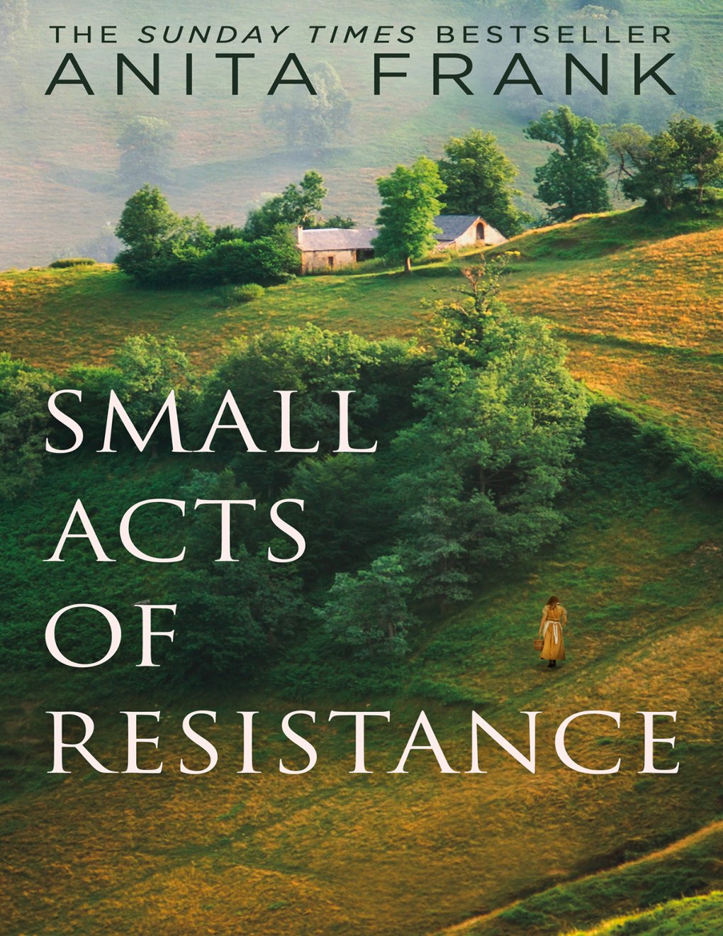 Cover of Small Acts of Resistance