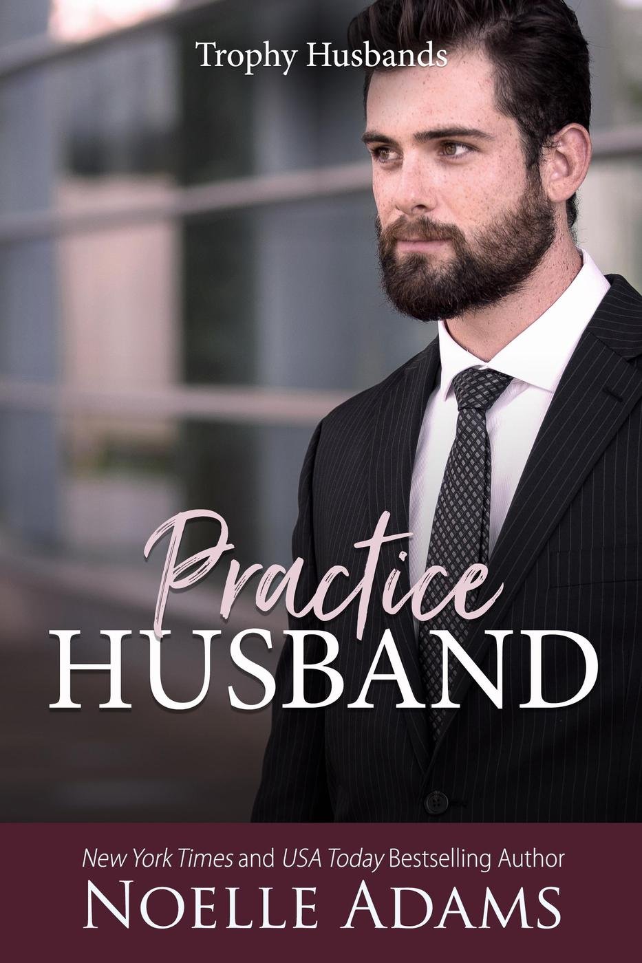 Cover of Practice Husband