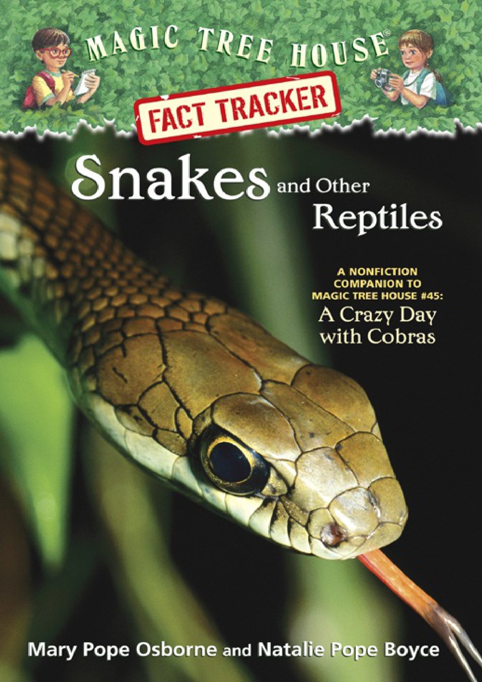 Cover of Snakes and Other Reptiles