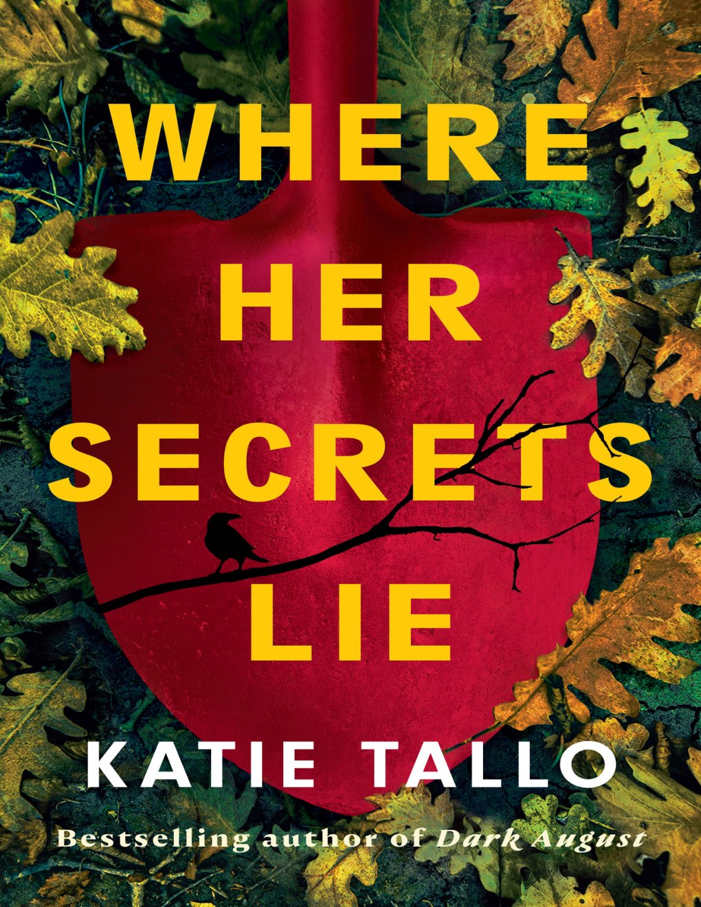 Cover of Where Her Secrets Lie