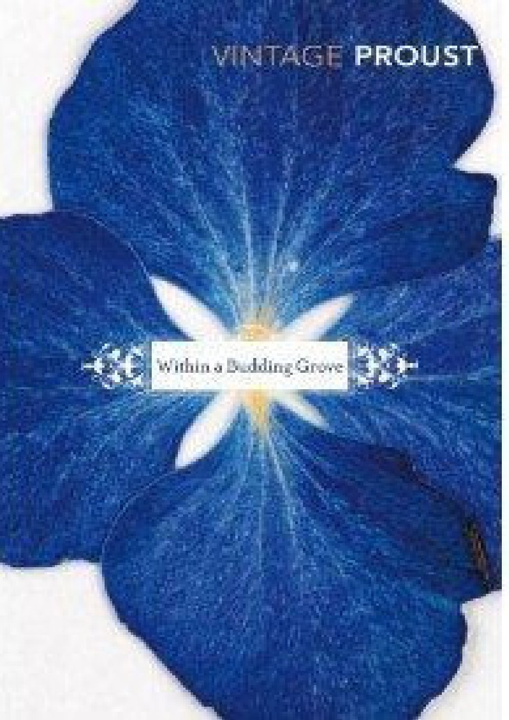 Cover of Within a Budding Grove (1923)