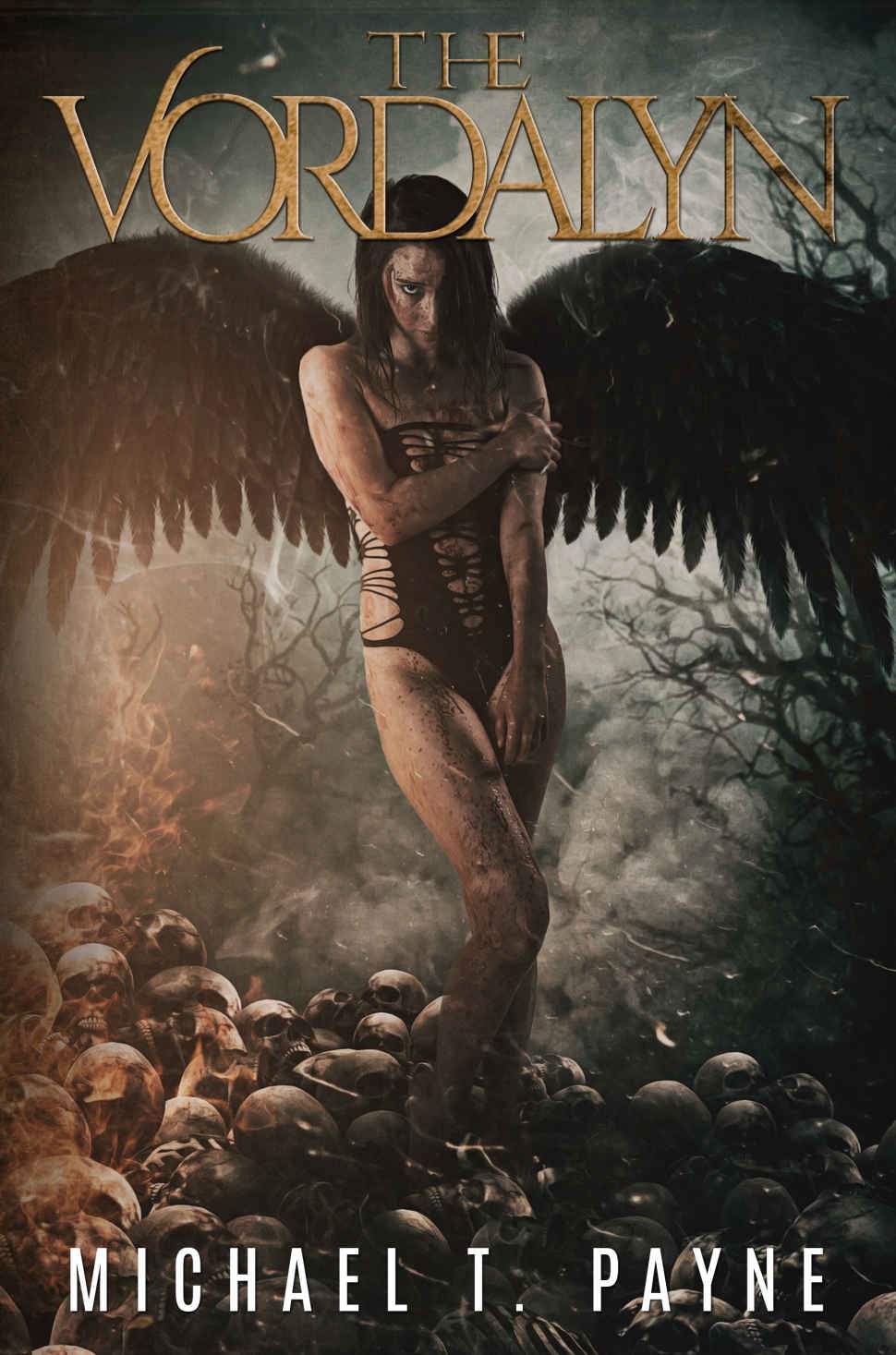 Cover of The Vordalyn (2020)