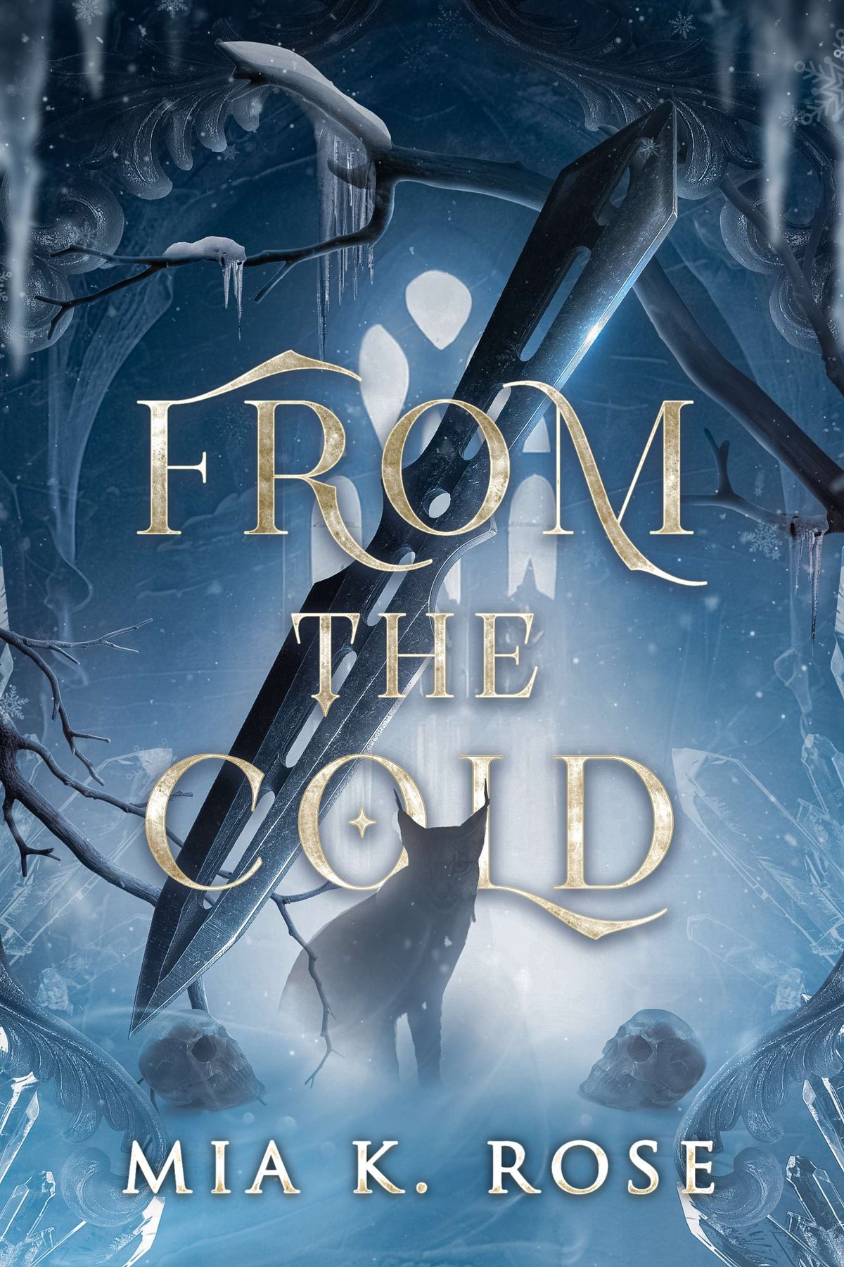 Cover of From the Cold