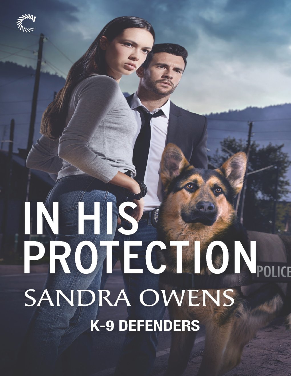 Cover of In His Protection