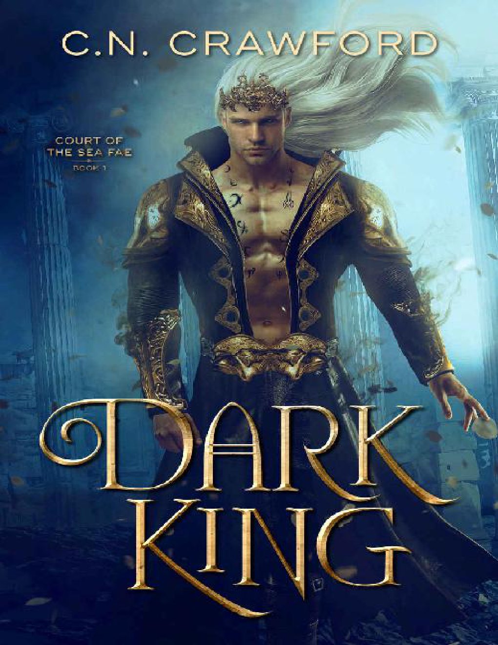 Cover of Dark King (Sea Fae Book 1)