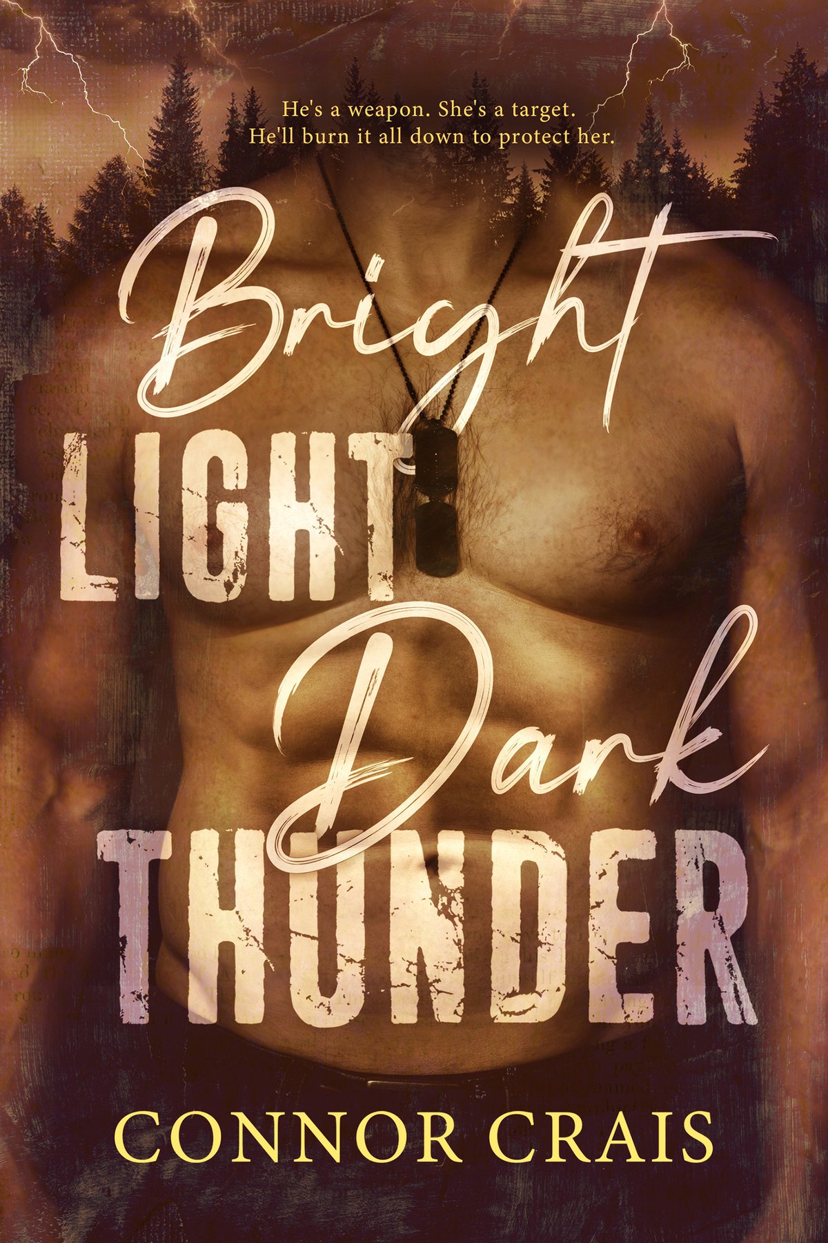Cover of Bright Light Dark Thunder: Military Romantic Suspense