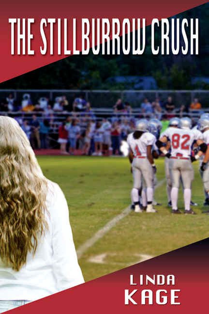 Cover of The Stillburrow Crush (1996)