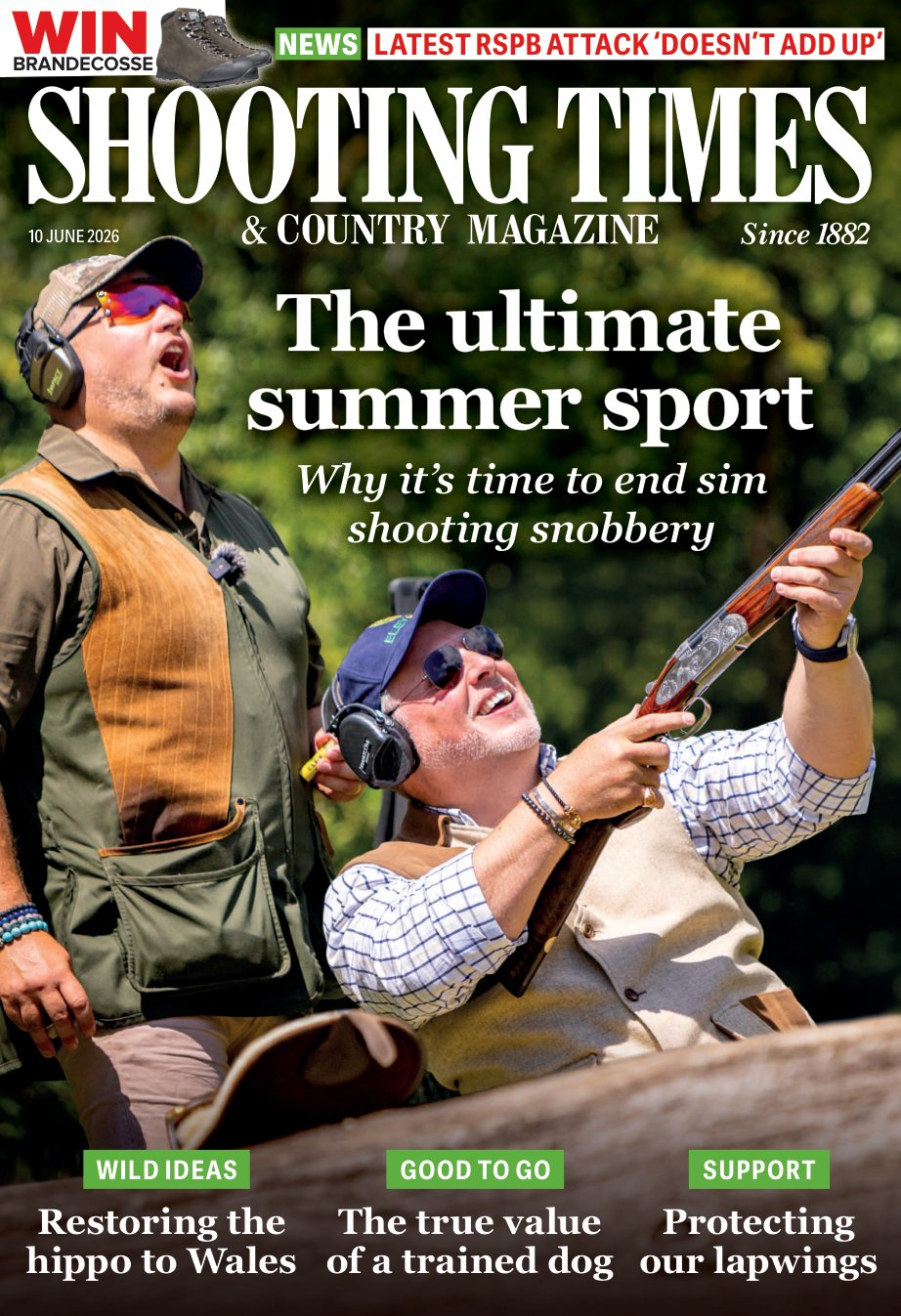 Cover of The ultimate