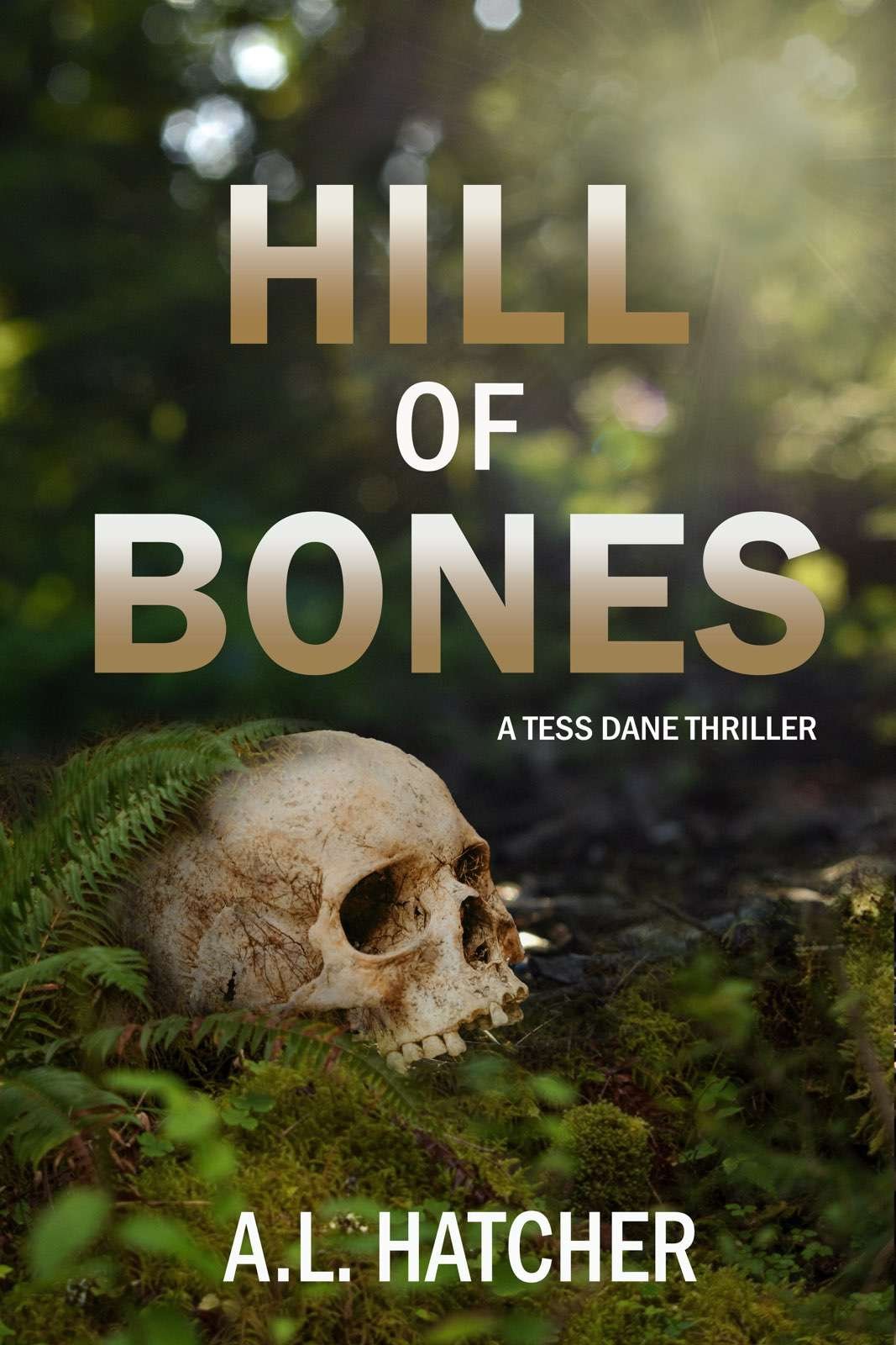 Cover of Hill of Bones