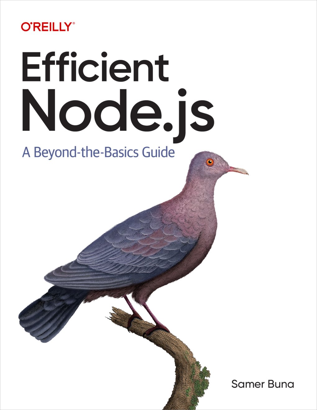 Cover of Efficient Node.js (for True Epub)